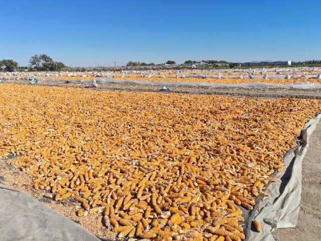 20231124\c5b1c3abc15176c861881d1b6a97c27a.jpg D:\tmp\php76C.tmp